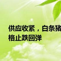 供应收紧,白条猪肉价格止跌回弹