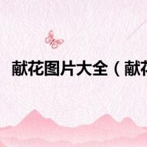 献花图片大全（献花）