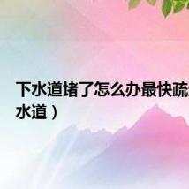 下水道堵了怎么办最快疏通（下水道）