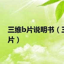 三维b片说明书（三维b片）