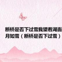 断桥是否下过雪我望着湖面水中寒月如雪(断桥是否下过雪)