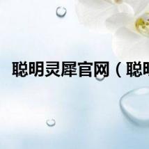 聪明灵犀官网（聪明）