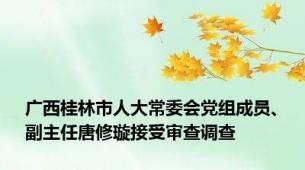 广西桂林市人大常委会党组成员、副主任唐修璇接受审查调查