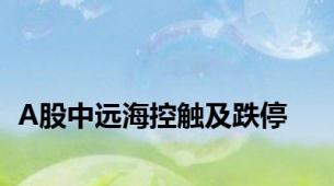 A股中远海控触及跌停