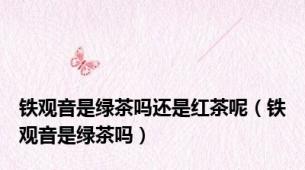 铁观音是绿茶吗还是红茶呢（铁观音是绿茶吗）