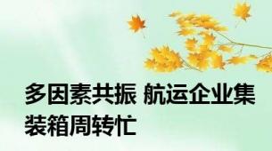 多因素共振 航运企业集装箱周转忙