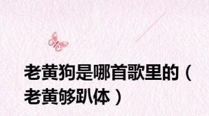 老黄狗是哪首歌里的（老黄够趴体）