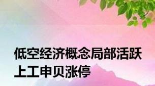 低空经济概念局部活跃 上工申贝涨停