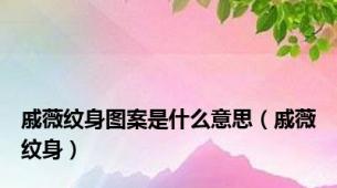 戚薇纹身图案是什么意思（戚薇纹身）