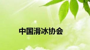 中国滑冰协会