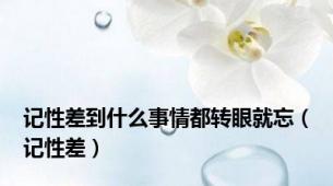 记性差到什么事情都转眼就忘（记性差）