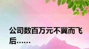 公司数百万元不翼而飞后……