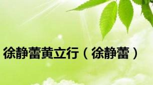 徐静蕾黄立行（徐静蕾）