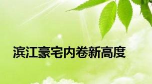 滨江豪宅内卷新高度