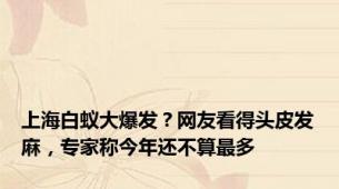 上海白蚁大爆发？网友看得头皮发麻，专家称今年还不算最多