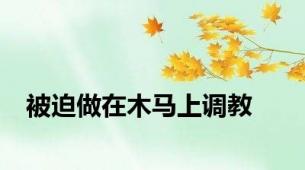 被迫做在木马上调教