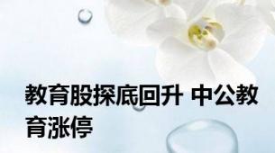 教育股探底回升 中公教育涨停