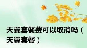天翼套餐费可以取消吗（天翼套餐）