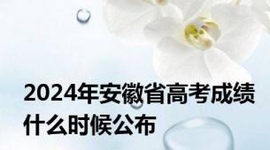 2024年安徽省高考成绩什么时候公布