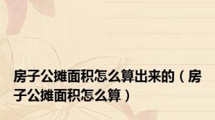 房子公摊面积怎么算出来的（房子公摊面积怎么算）