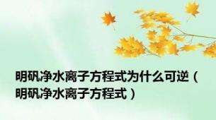 明矾净水离子方程式为什么可逆（明矾净水离子方程式）