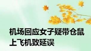 机场回应女子疑带仓鼠上飞机致延误