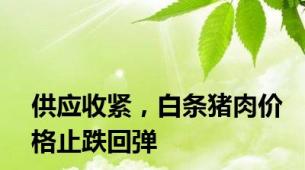 供应收紧，白条猪肉价格止跌回弹