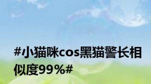 #小猫咪cos黑猫警长相似度99%#