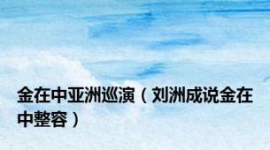 金在中亚洲巡演（刘洲成说金在中整容）