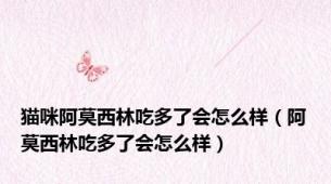 猫咪阿莫西林吃多了会怎么样（阿莫西林吃多了会怎么样）