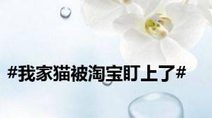 #我家猫被淘宝盯上了#