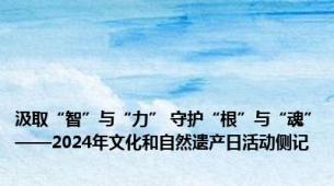 汲取“智”与“力” 守护“根”与“魂”——2024年文化和自然遗产日活动侧记