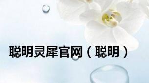 聪明灵犀官网（聪明）