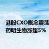 港股CXO概念震荡拉升 药明生物涨超5%