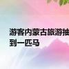 游客内蒙古旅游抽奖抽到一匹马