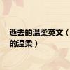 逝去的温柔英文（逝去的温柔）