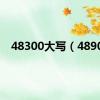 48300大写（4890）