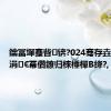 鑰冨墠蹇呰锛?024骞存垚閮藉競涓€冪儹鐐归棶棰樿В绛?,