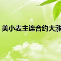 美小麦主连合约大涨4%