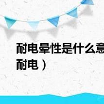 耐电晕性是什么意思（耐电）