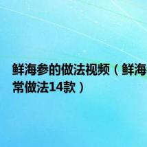 鲜海参的做法视频(鲜海参的家常做法14款)