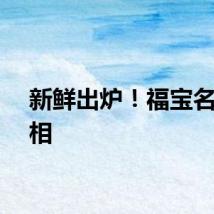 新鲜出炉！福宝名牌亮相
