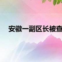安徽一副区长被查！