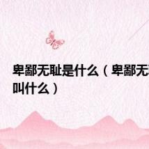 卑鄙无耻是什么(卑鄙无耻的人叫什么)