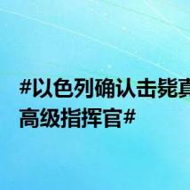 #以色列确认击毙真主党高级指挥官#
