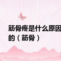 筋骨疼是什么原因引起的（筋骨）