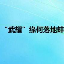 “武耀”缘何落地蚌埠？