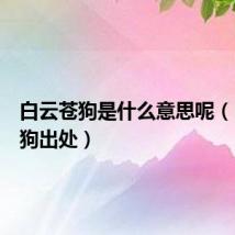 白云苍狗是什么意思呢（白云苍狗出处）