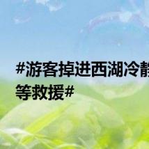 #游客掉进西湖冷静躺平等救援#