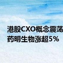港股CXO概念震荡拉升 药明生物涨超5%